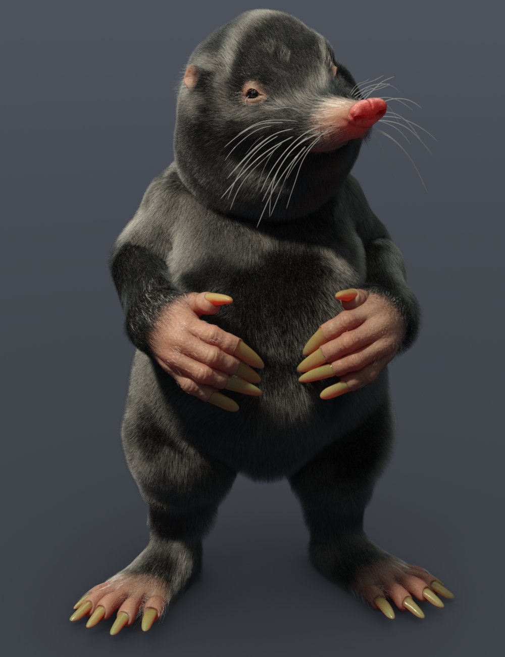 Storybook Mole for Genesis 8.1 Male | Daz 3D