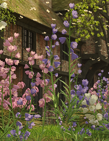 Garden Flowers - Canterbury Bells for Daz Studio by: MartinJFrost, 3D Models by Daz 3D