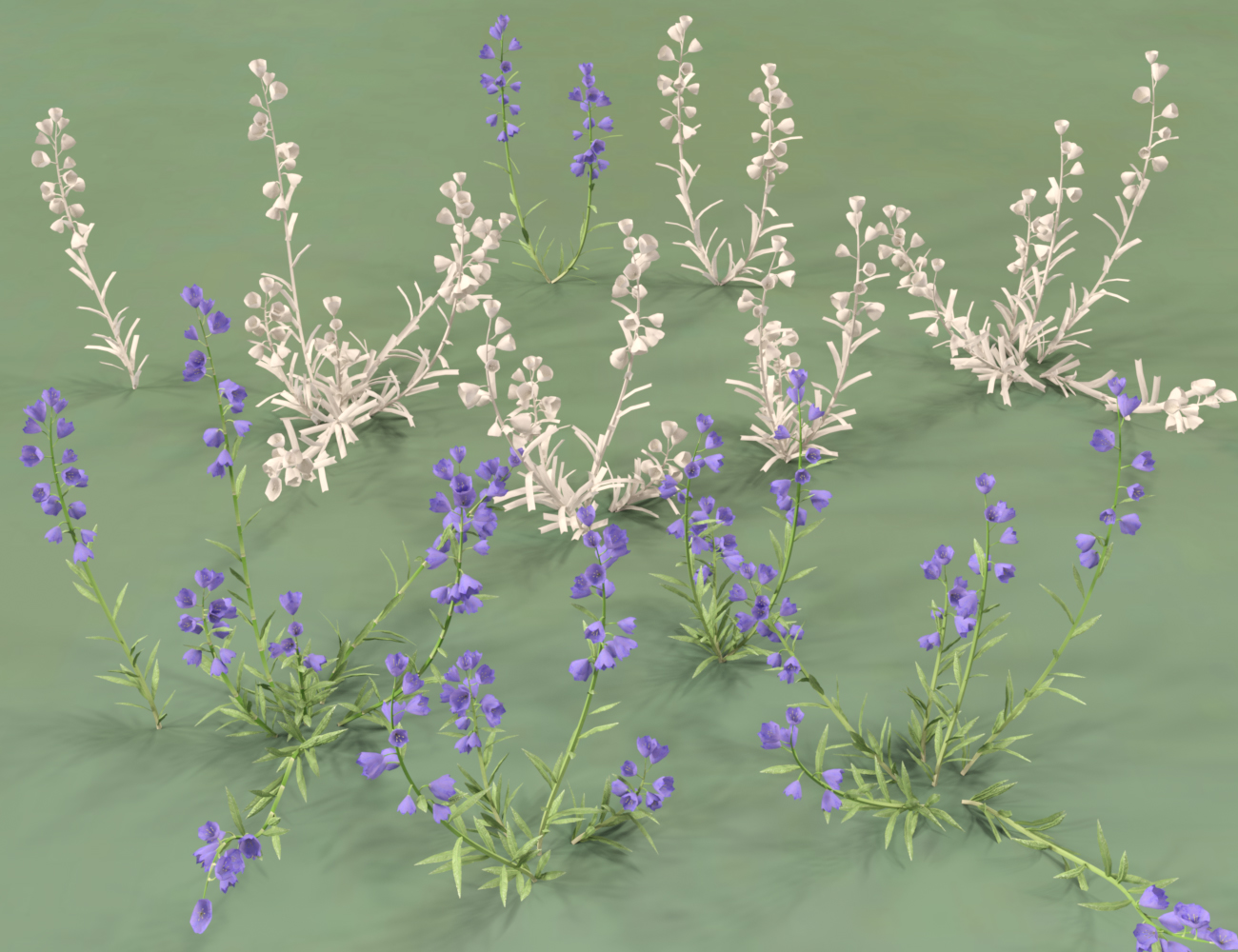 Garden Flowers - Canterbury Bells for Daz Studio by: MartinJFrost, 3D Models by Daz 3D