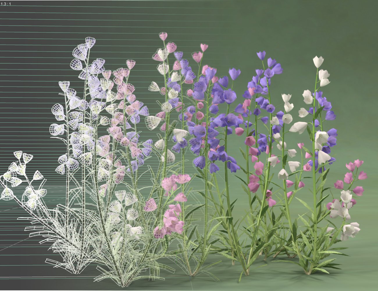 Garden Flowers - Canterbury Bells for Daz Studio Garden Flowers - Canterbury Bells for Daz Studio by: MartinJFrost, 3D Models by Daz 3D