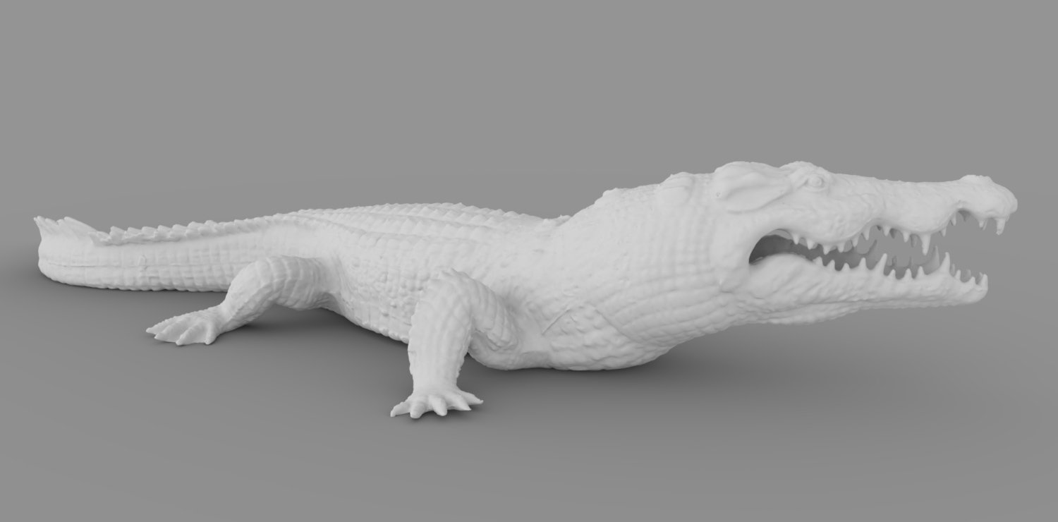 HD Scans Crocodile Prop | Daz 3D