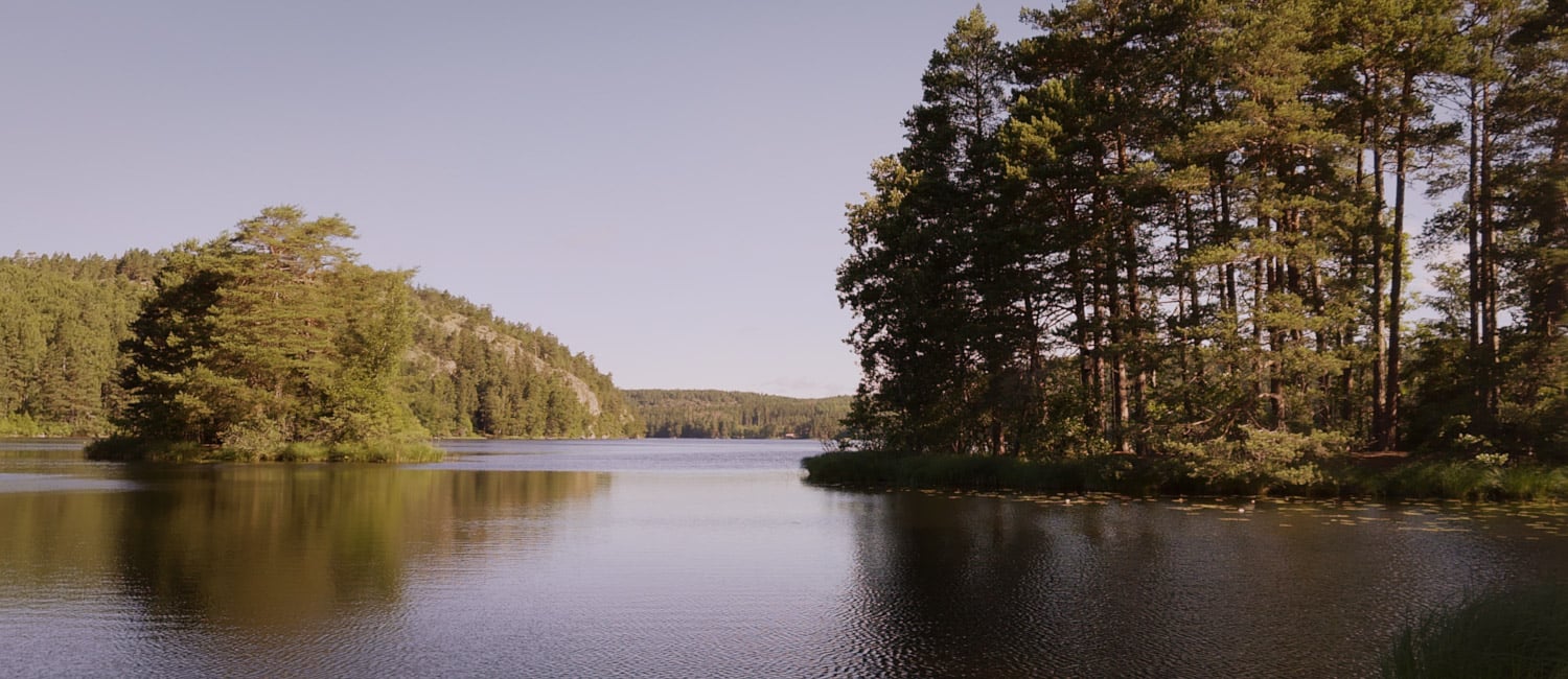 16k HDRI Maps - Serene Forest Lake | Daz 3D