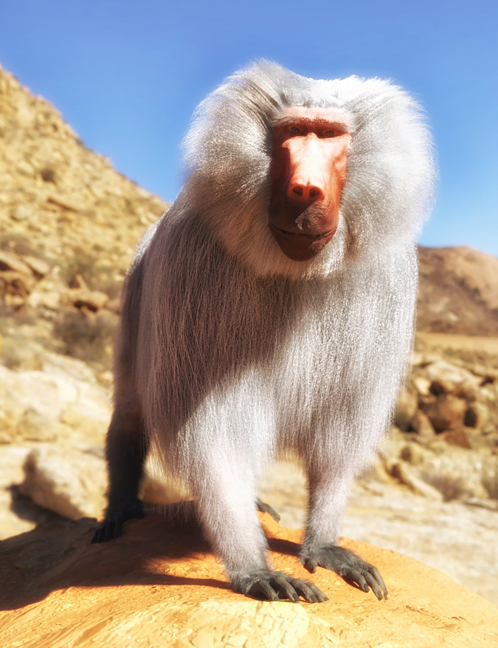 Baboon by AM for Genesis 8 Male by: Alessandro_AM, 3D Models by Daz 3D