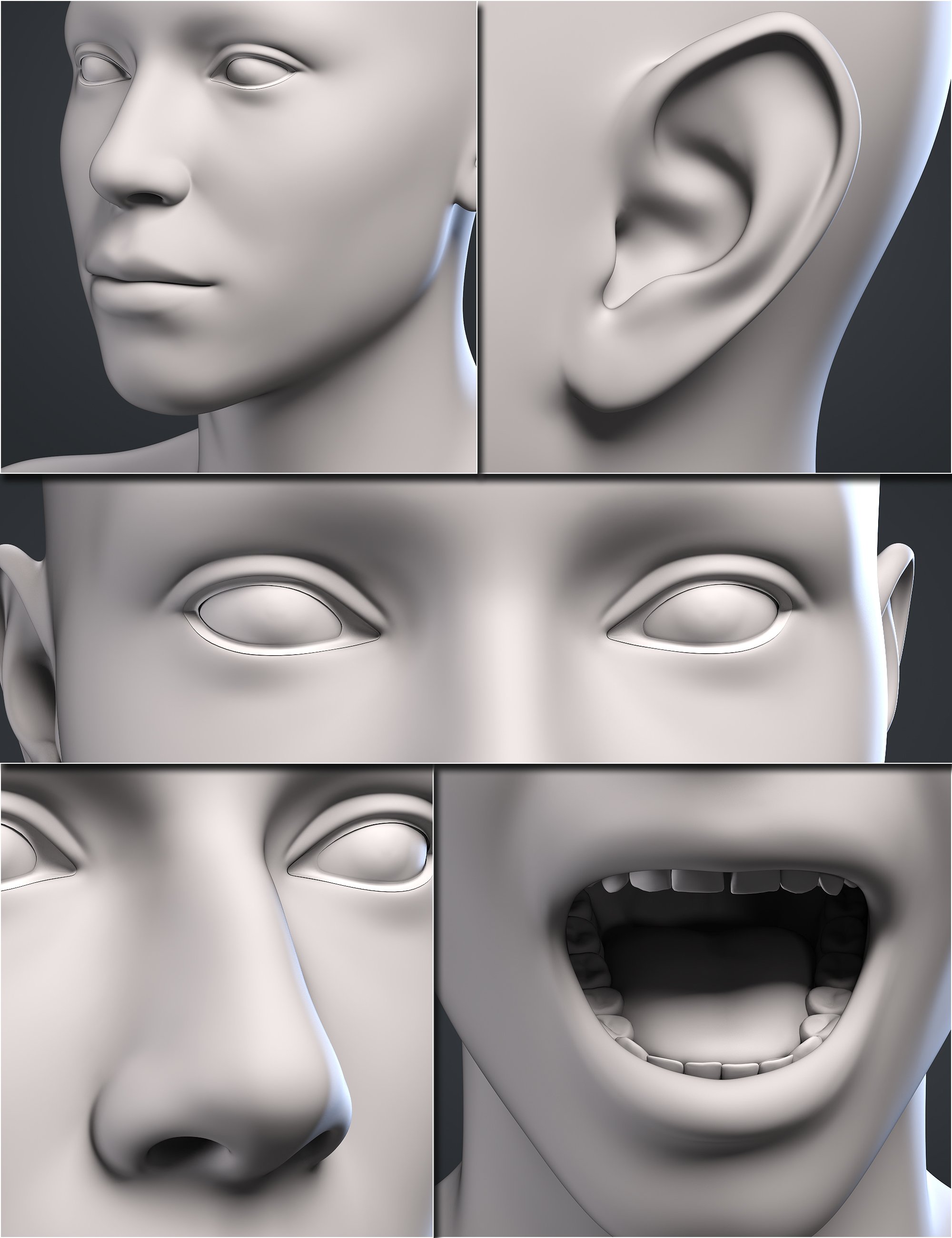 Genesis 9 Head Shapes by: , 3D Models by Daz 3D