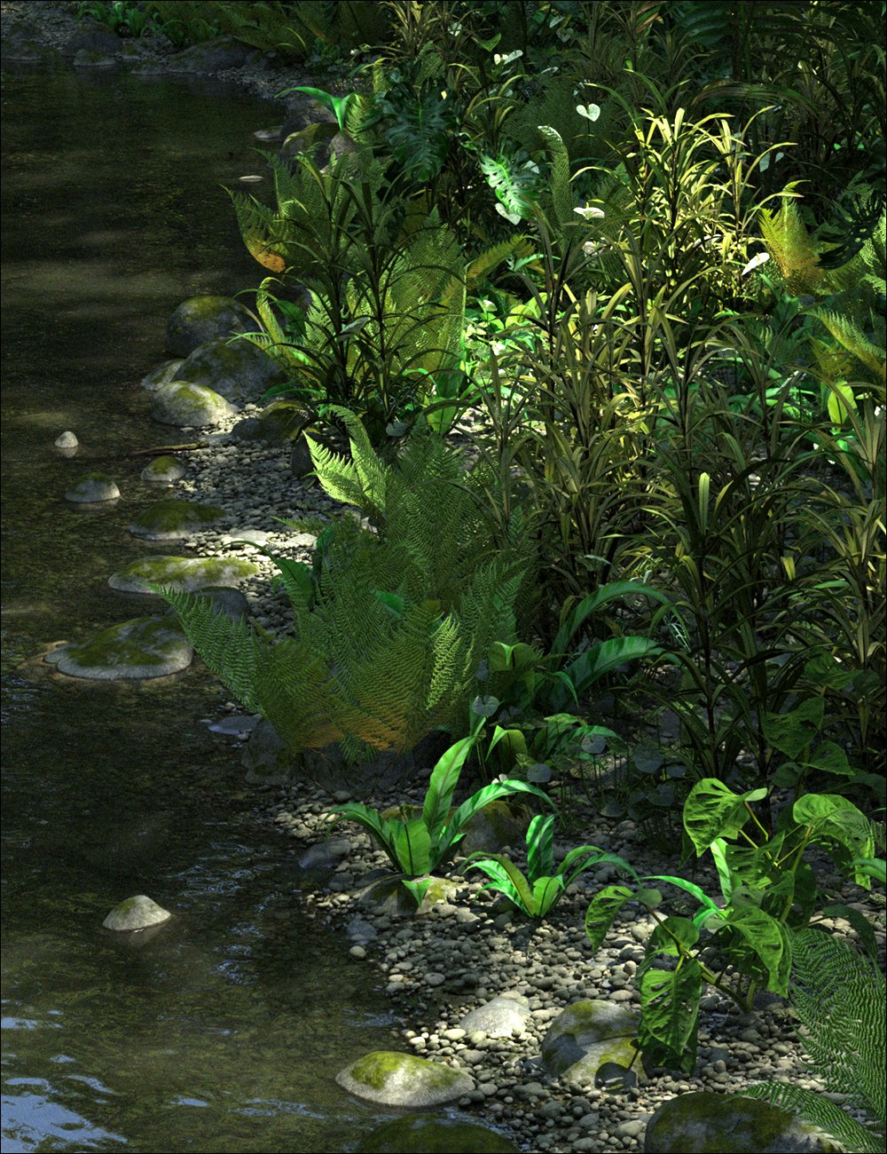 Tropical Botanica - Understorey