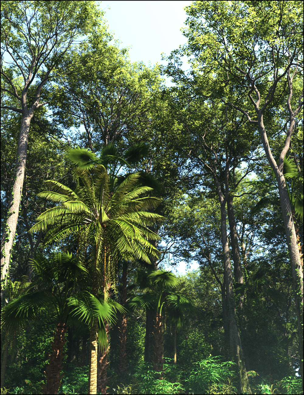 Tropical Botanica - Trees and Shrubs by: HowieFarkesMartinJFrost, 3D Models by Daz 3D