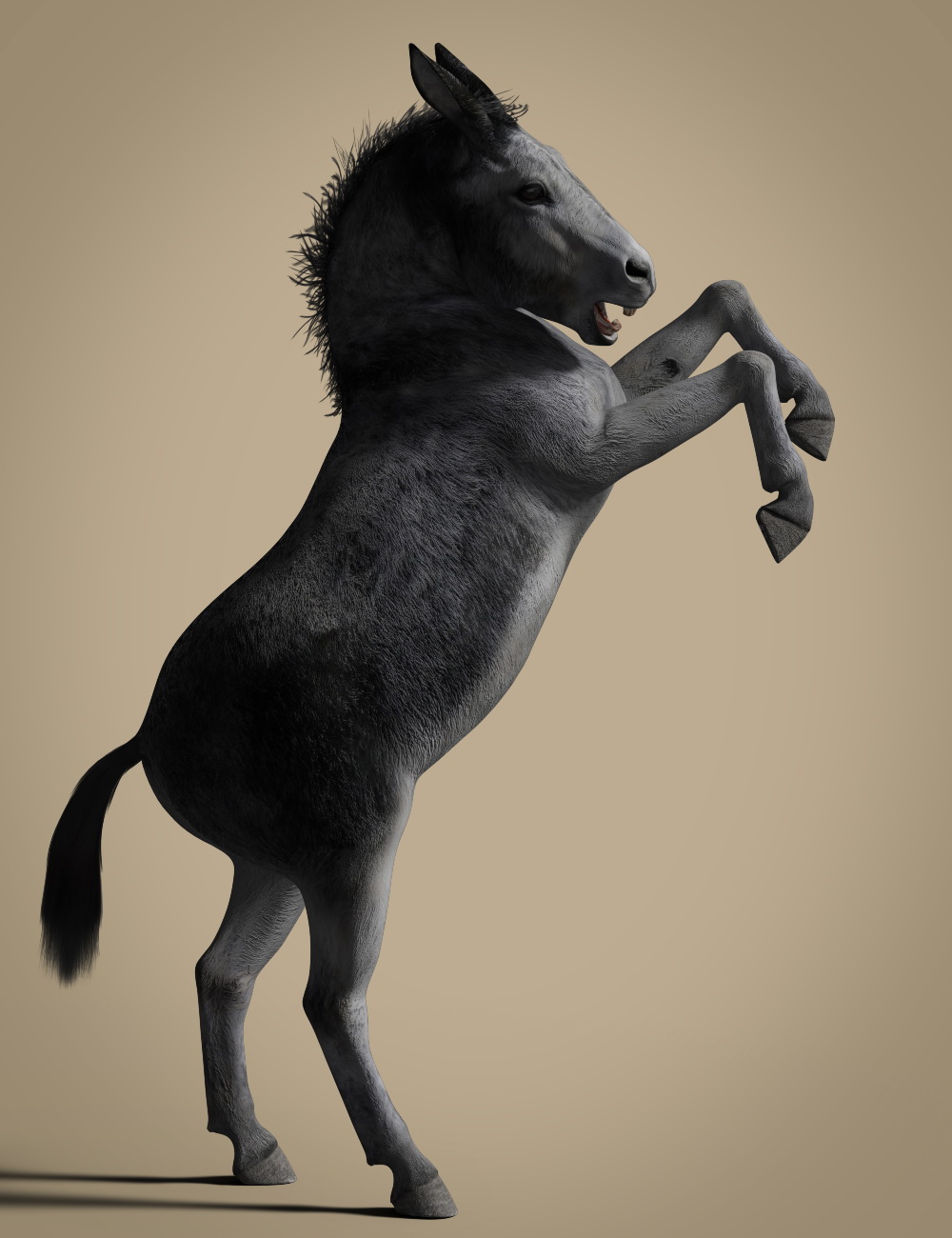 DS Cadichon for Daz Horse 2 by: Deepsea, 3D Models by Daz 3D