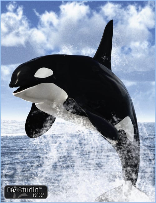 Orca  Killer Whale by: , 3D Models by Daz 3D