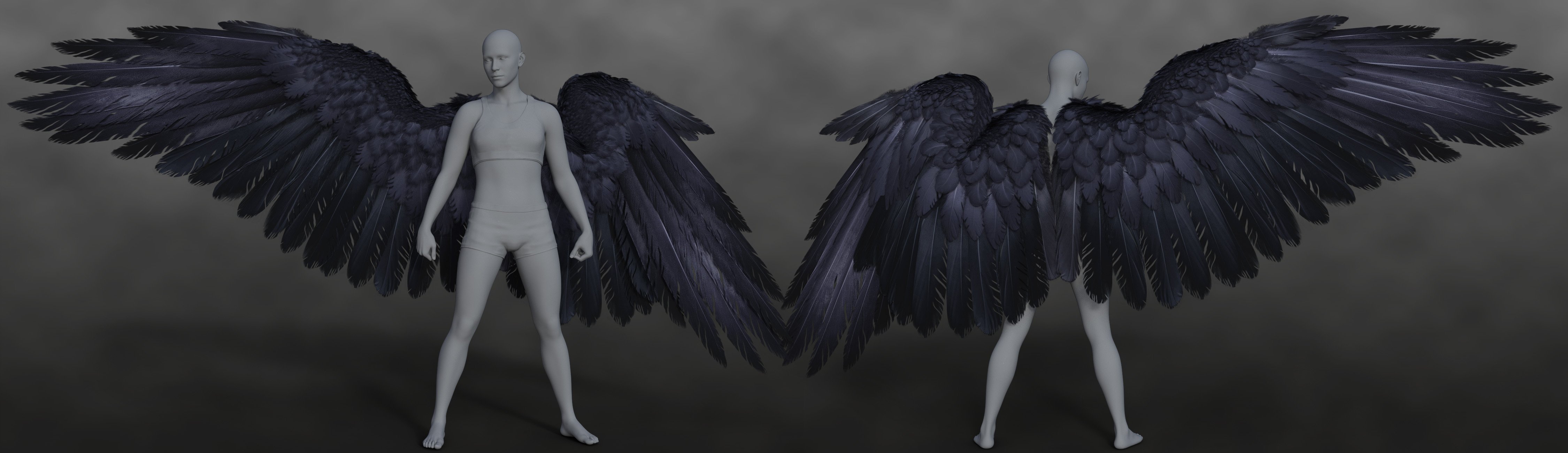 Crow's Wings for Genesis 9 by: Arki, 3D Models by Daz 3D