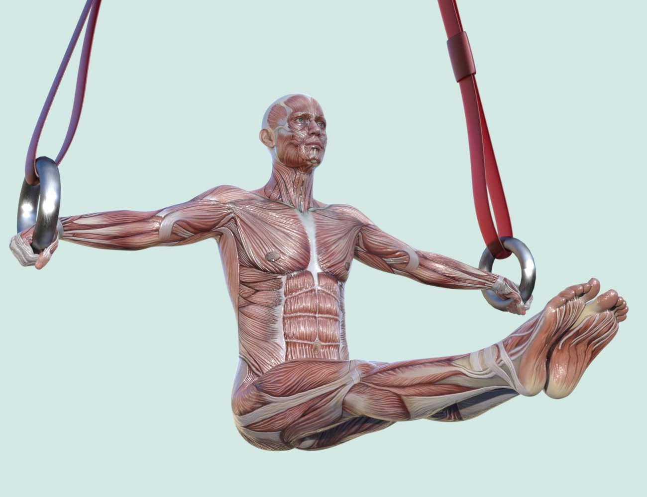 Masculine Muscle Maps for Genesis - Malemusclemapsforgenesis903daz3d 