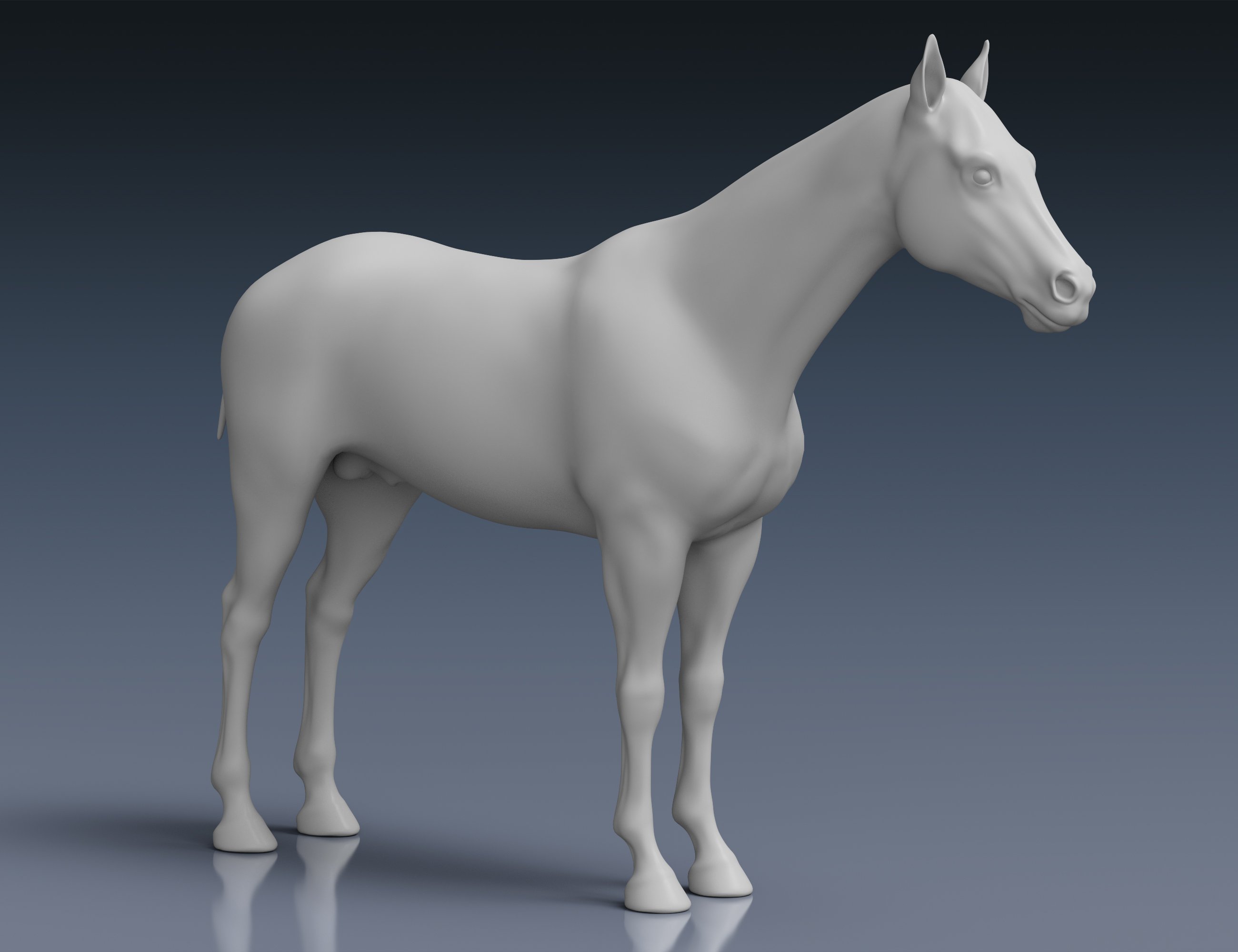 Daz Horse 3 by: Alessandro_AM, 3D Models by Daz 3D