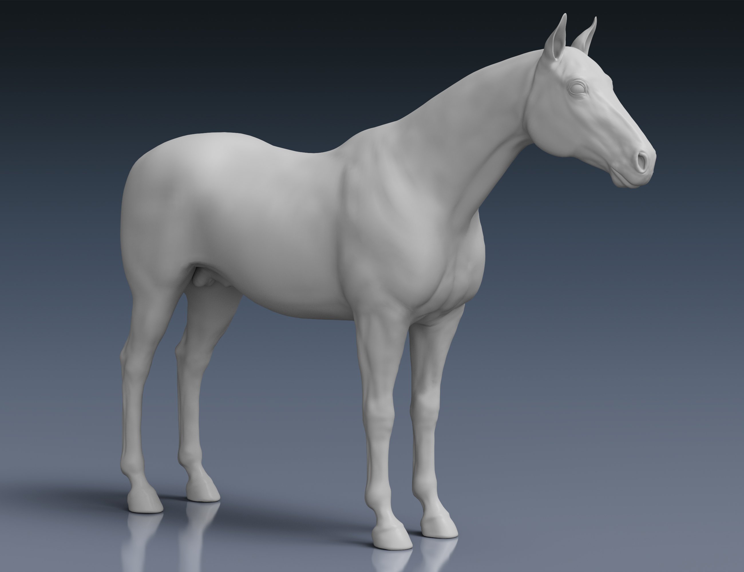 Daz Horse 3 Daz Horse 3 by: Alessandro_AM, 3D Models by Daz 3D