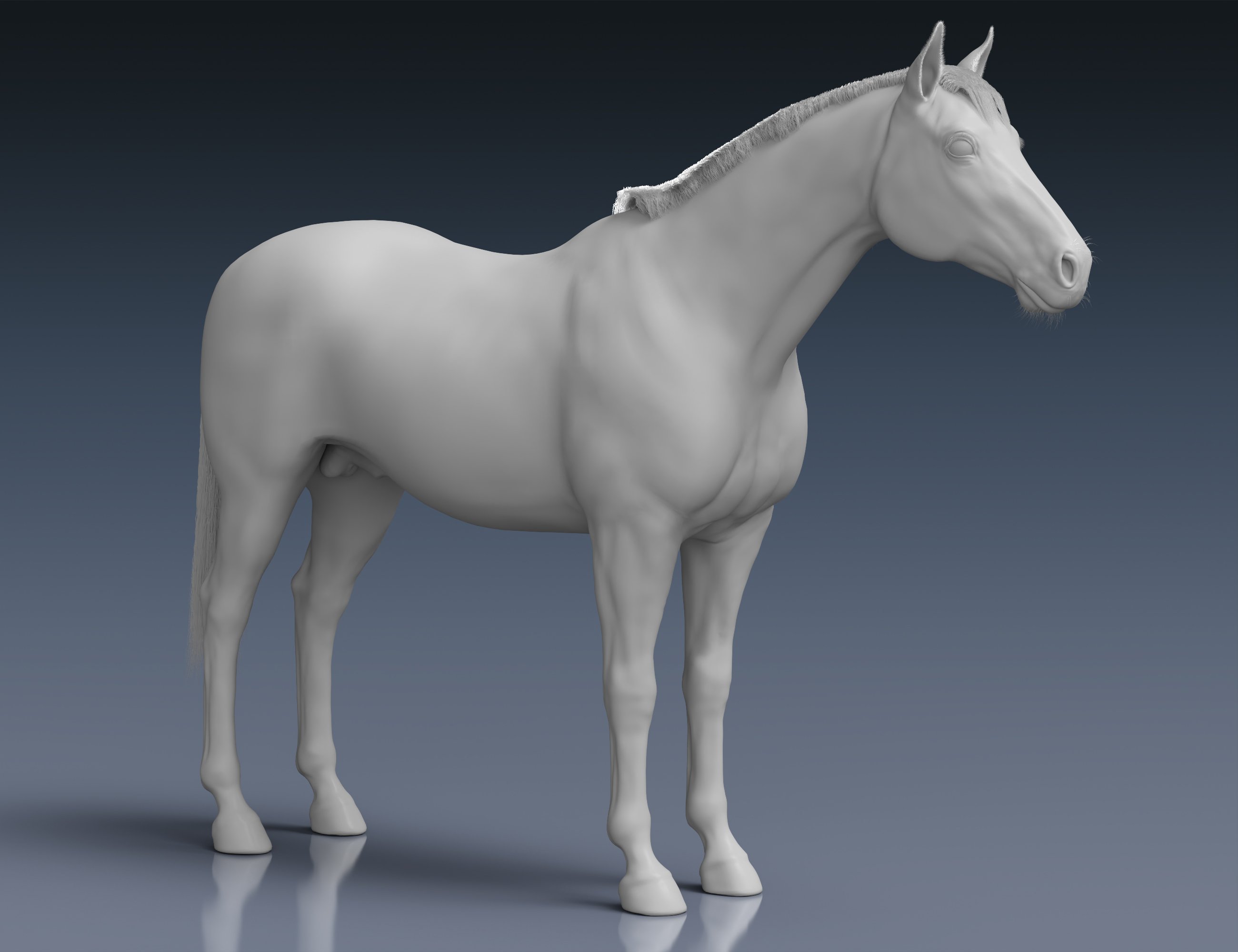 Daz Horse 3 by: Alessandro_AM, 3D Models by Daz 3D