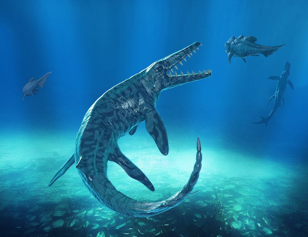 Mosasaurus | Daz 3D