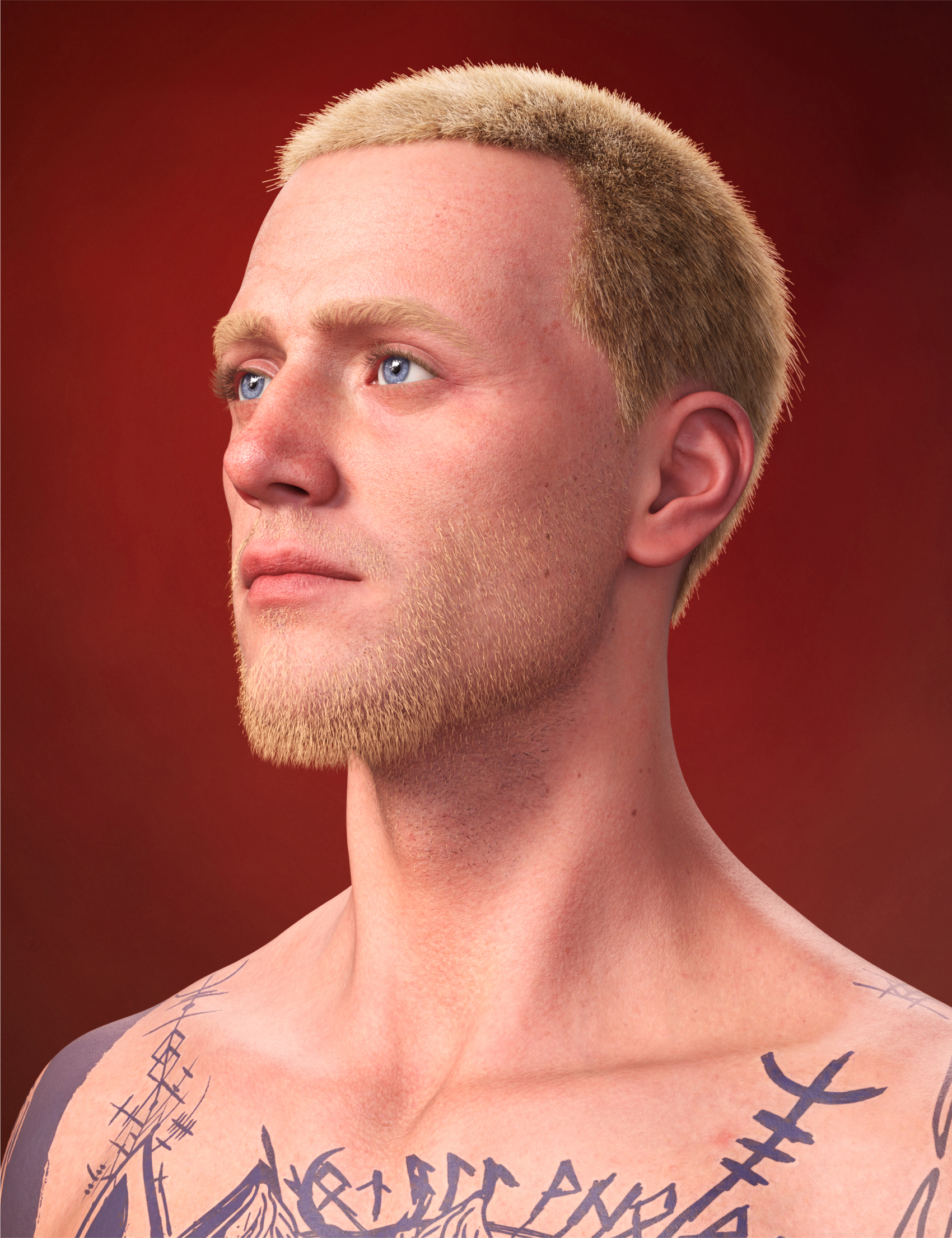 Ivar 9 Beard by: , 3D Models by Daz 3D