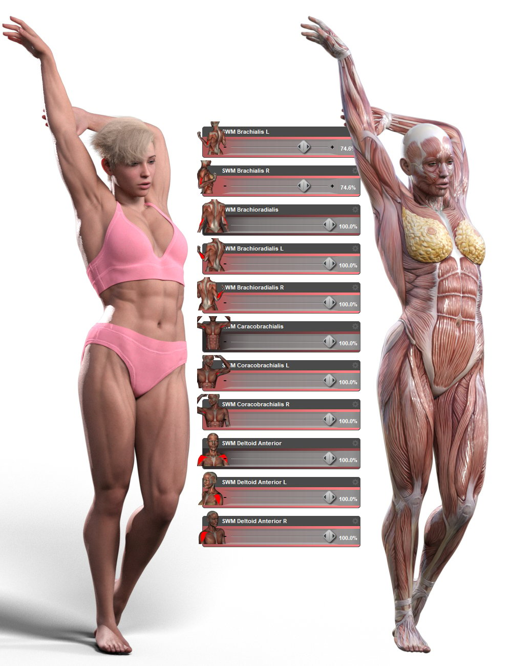 Muscularity Morphs for Genesis 9 by: SimonWM, 3D Models by Daz 3D