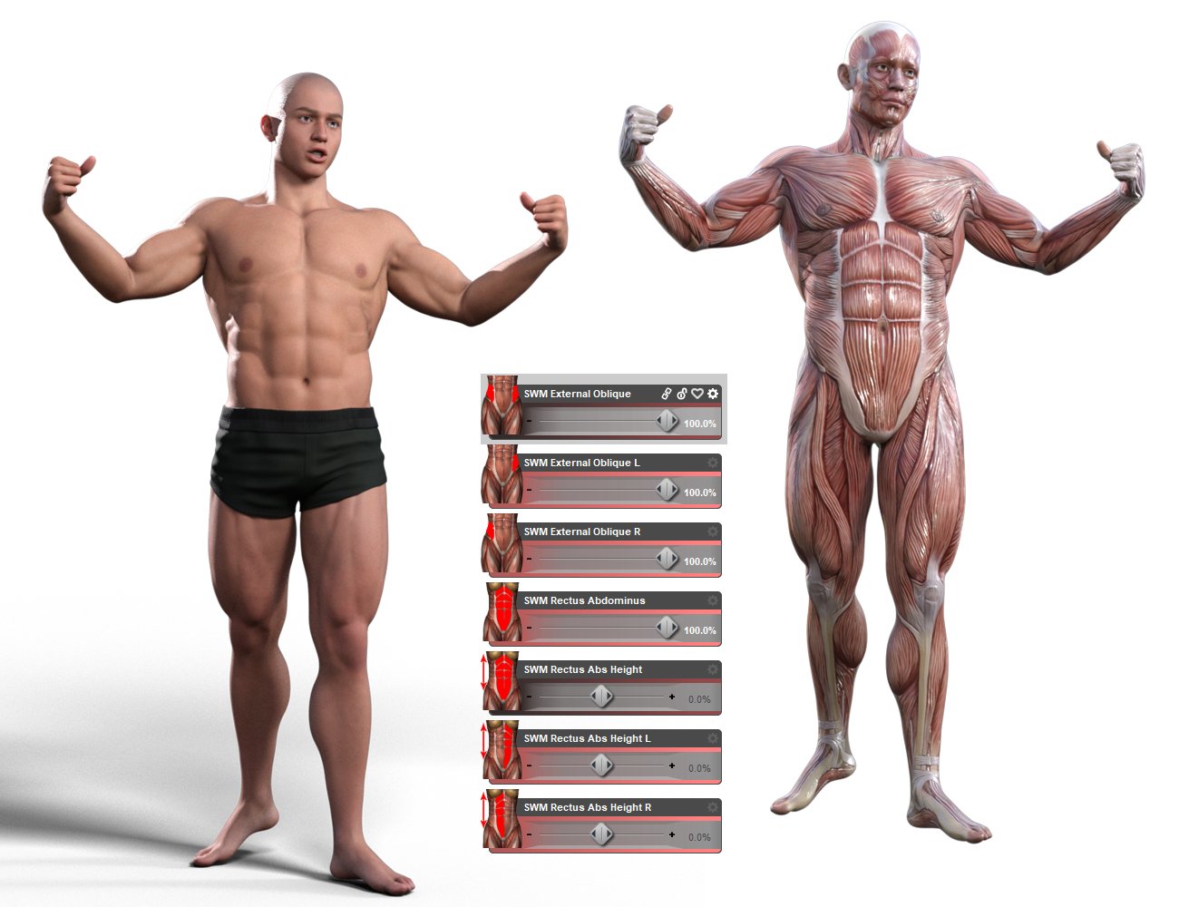 Muscularity Morphs for Genesis 9 by: SimonWM, 3D Models by Daz 3D