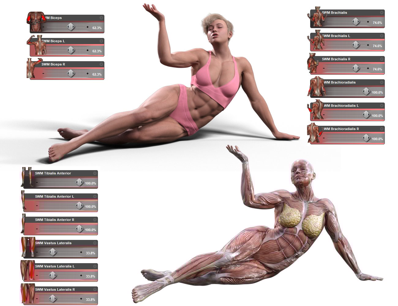 Muscularity Morphs for Genesis 9 Muscularity Morphs for Genesis 9 by: SimonWM, 3D Models by Daz 3D