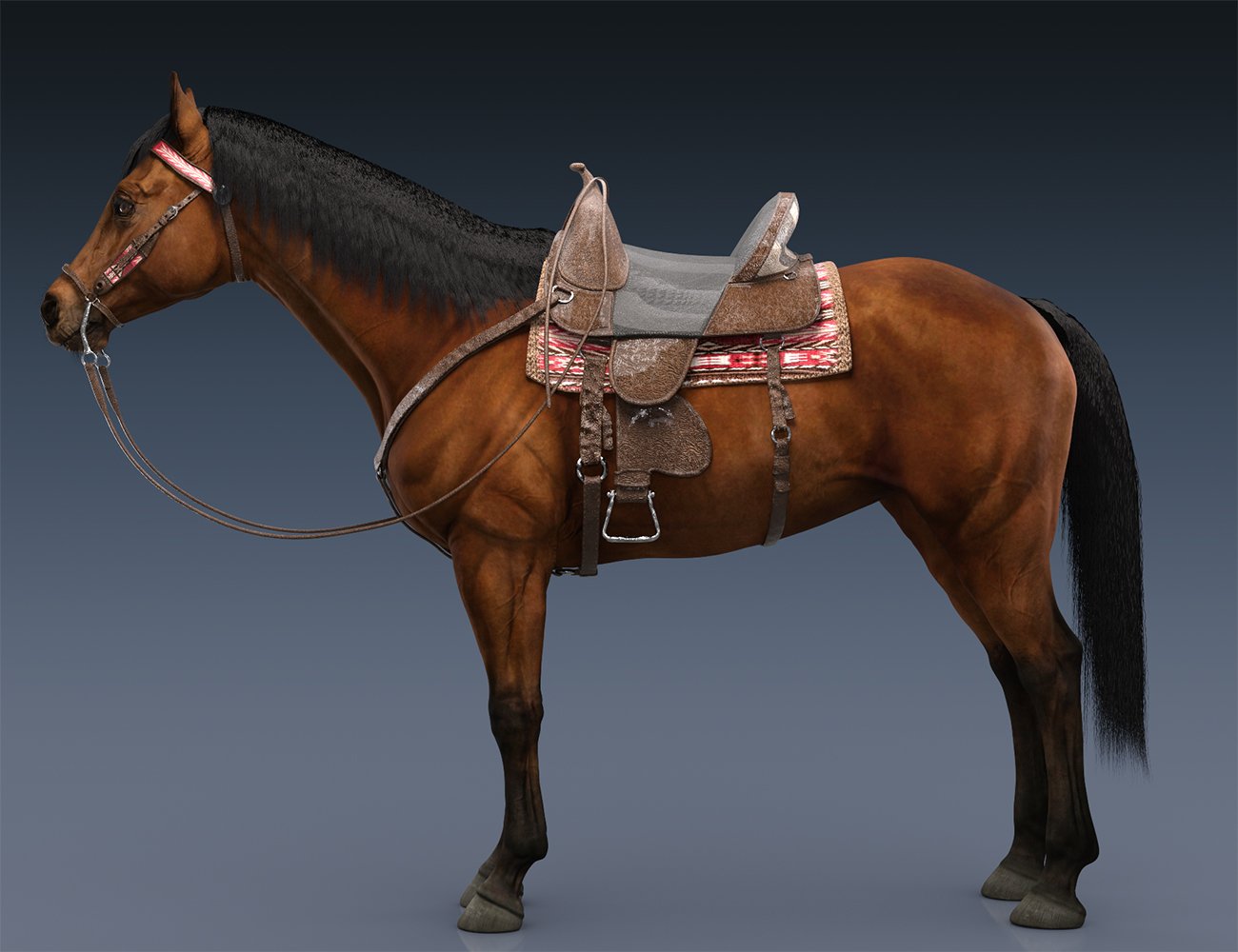 Western Horse Tack for Daz Horse 3 | Daz 3D