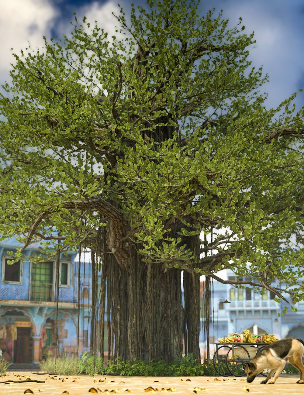Banyan Trees - High Resolution Plants for Daz Studio by: MartinJFrost, 3D Models by Daz 3D