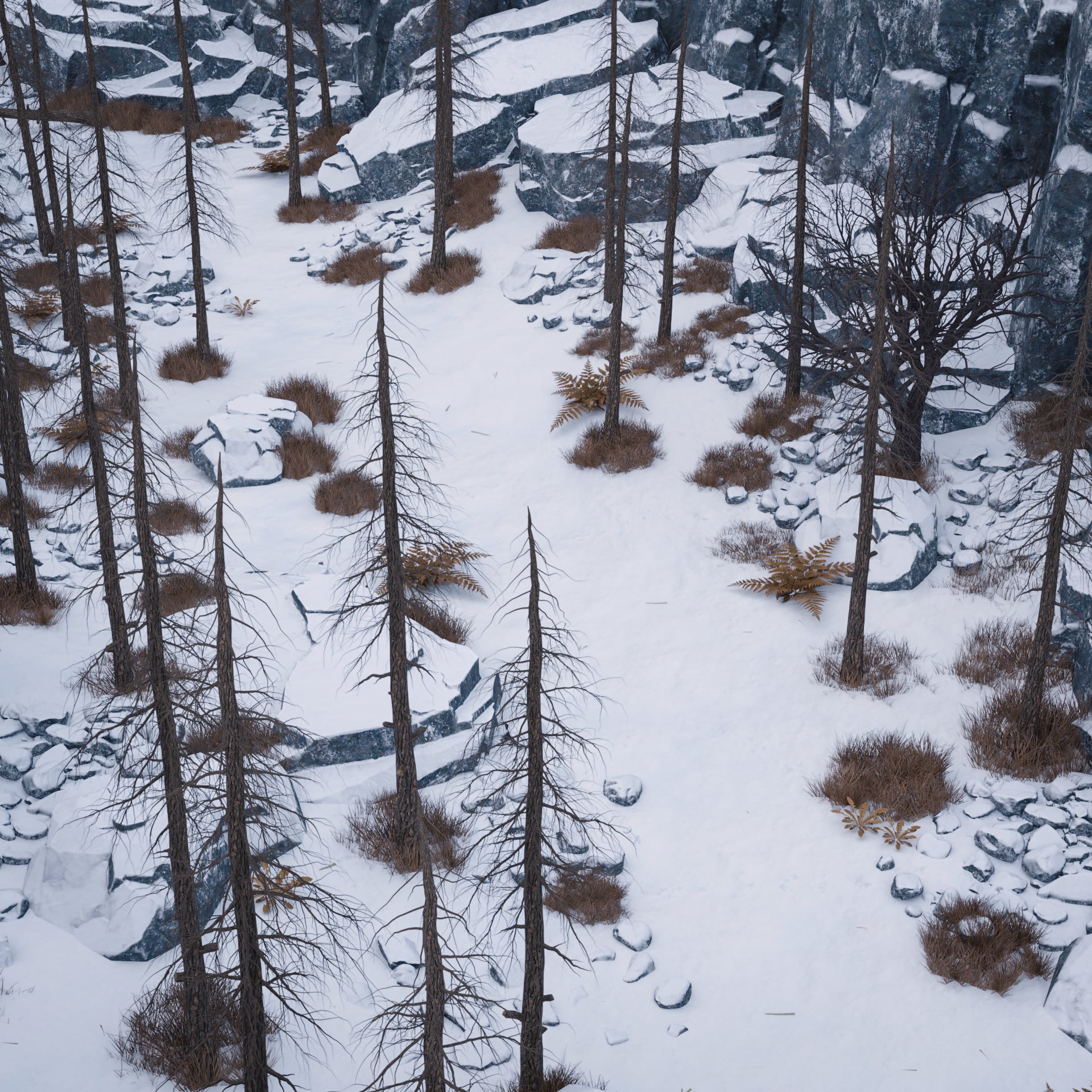 Snowy Land | Daz 3D