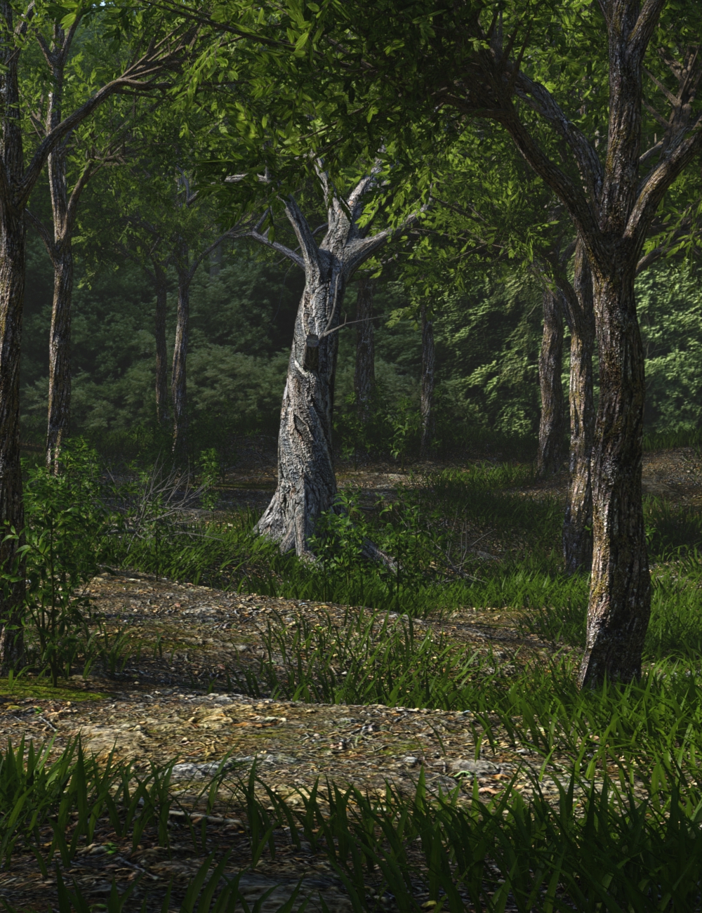 The Grove by: JeffersonAF, 3D Models by Daz 3D