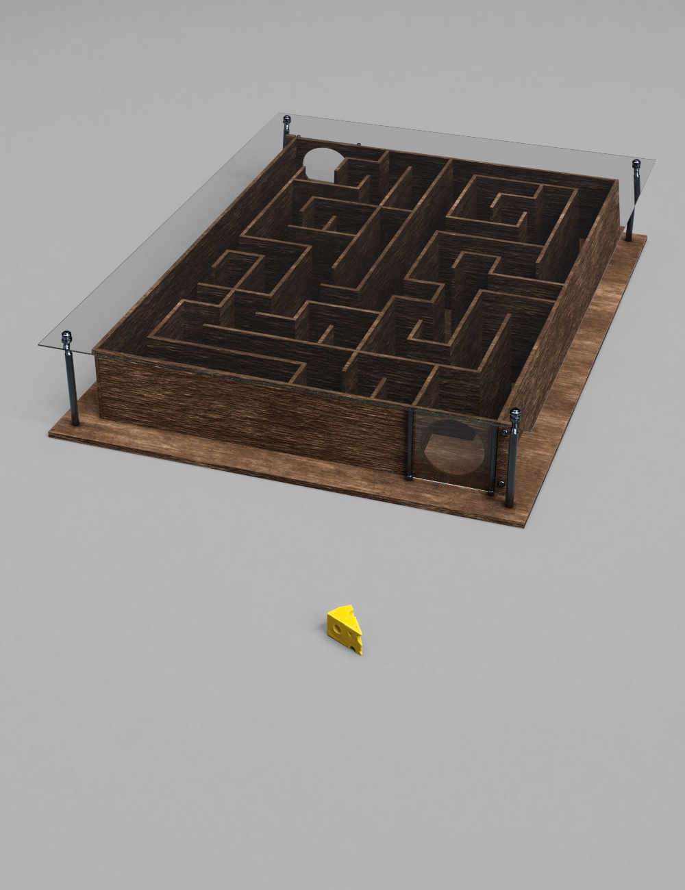 Small Lab Maze for Mouse by: Mely3D, 3D Models by Daz 3D