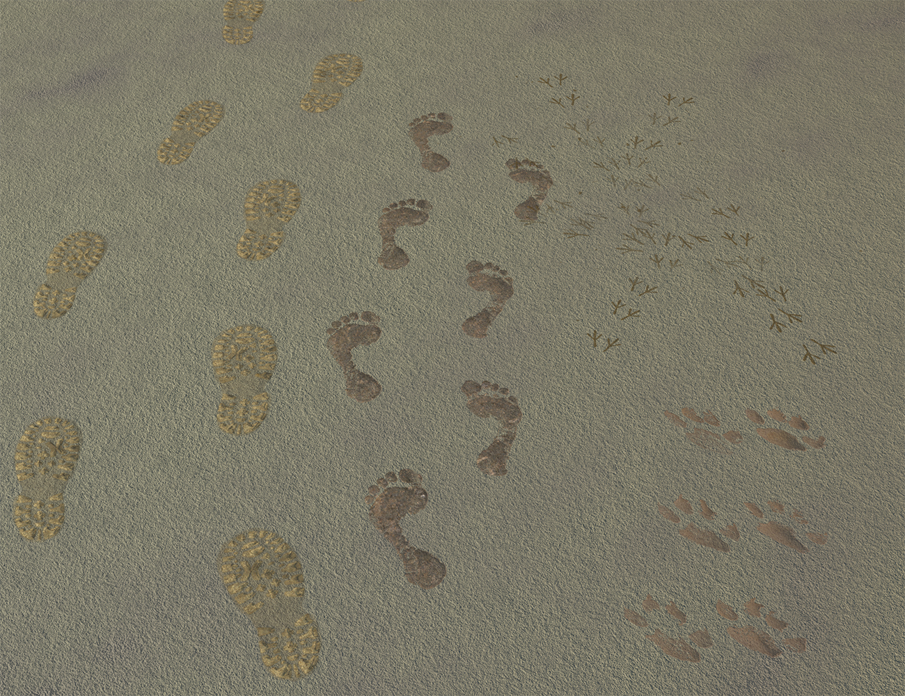 Tracks and Footprint Decals for Daz Studio Tracks and Footprint Decals for Daz Studio by: MartinJFrost, 3D Models by Daz 3D