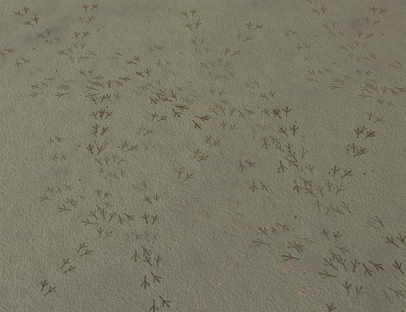 Tracks and Footprint Decals for Daz Studio Tracks and Footprint Decals for Daz Studio by: MartinJFrost, 3D Models by Daz 3D