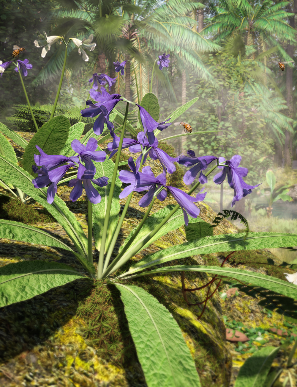 Cape Primrose - Tropical Streptocarpus Plants for Daz Studio by: MartinJFrost, 3D Models by Daz 3D