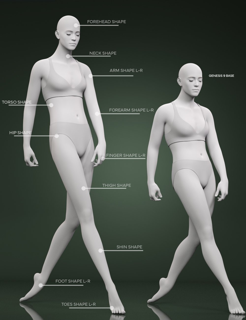 CGI Long Shapes for Genesis 9 CGI Long Shapes for Genesis 9 by: Color Galeria, 3D Models by Daz 3D