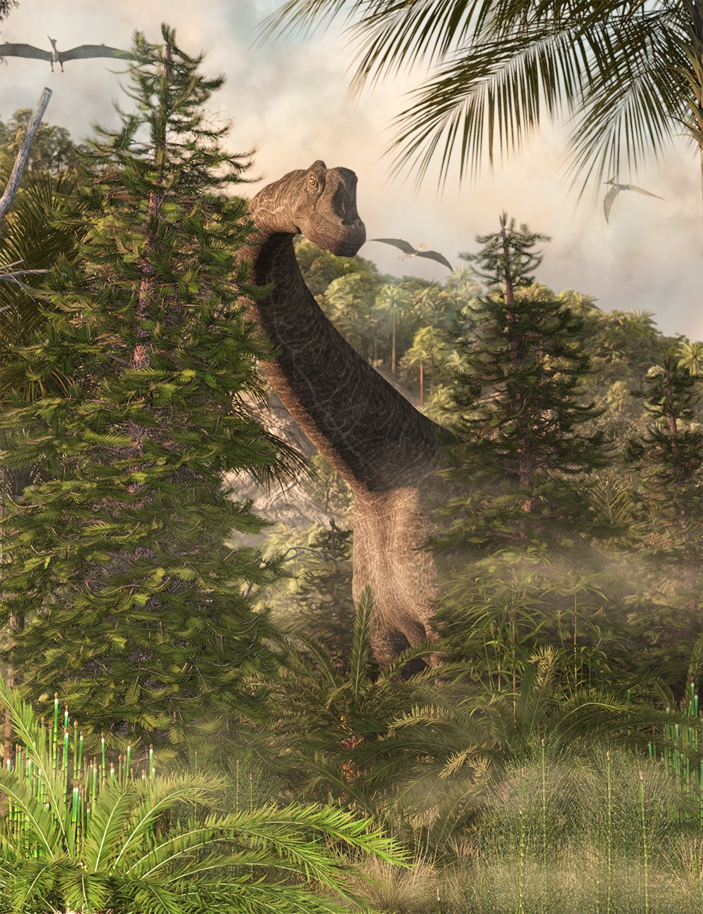 Wollemi Pine Trees - Prehistoric Plants by: MartinJFrost, 3D Models by Daz 3D