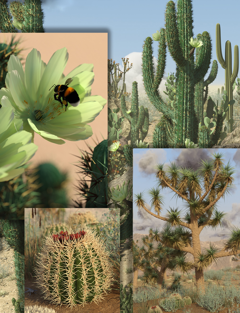 Desert Cacti and Joshua Trees by: MartinJFrost, 3D Models by Daz 3D