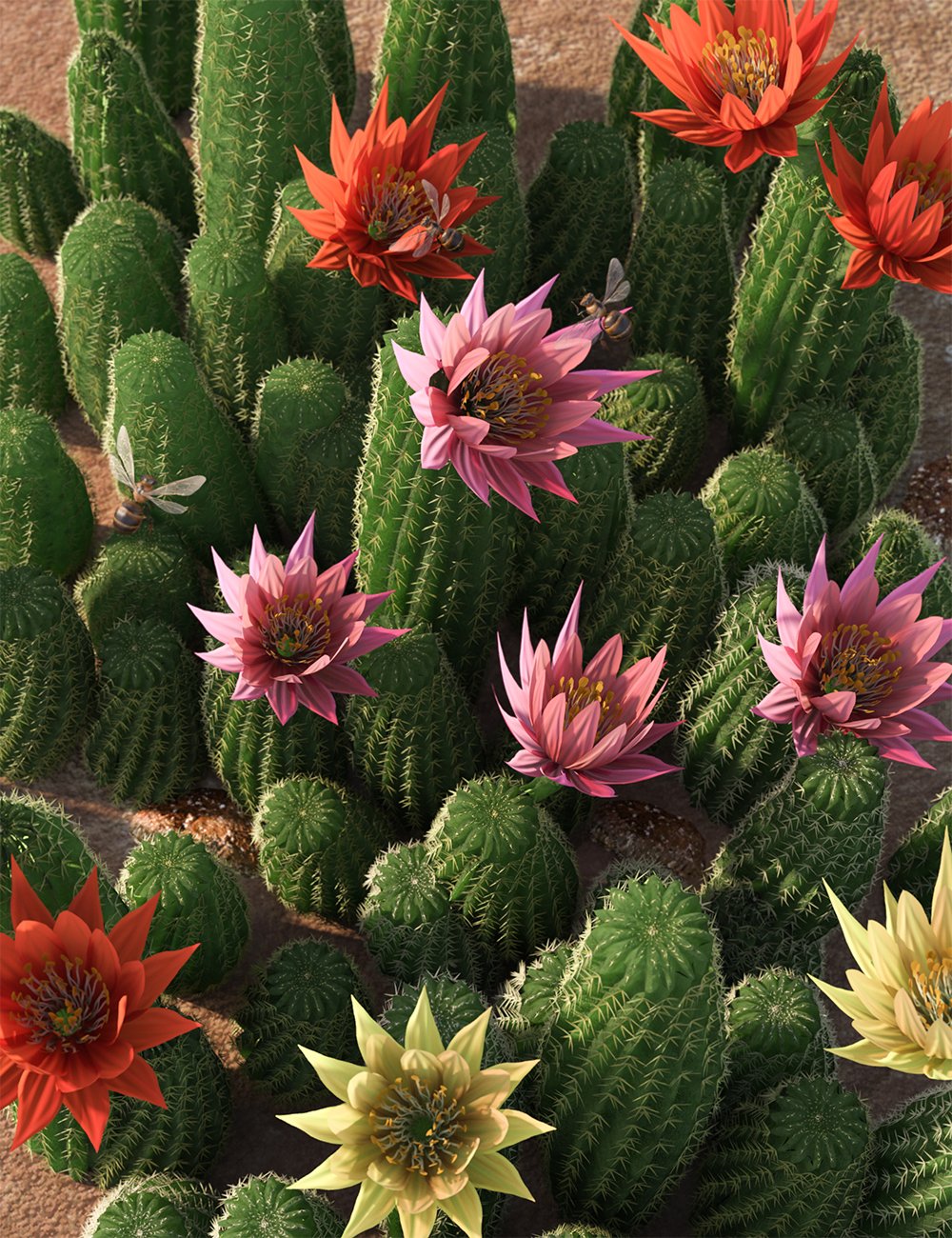 Peanut Cactus - Flowering Cacti by: MartinJFrost, 3D Models by Daz 3D