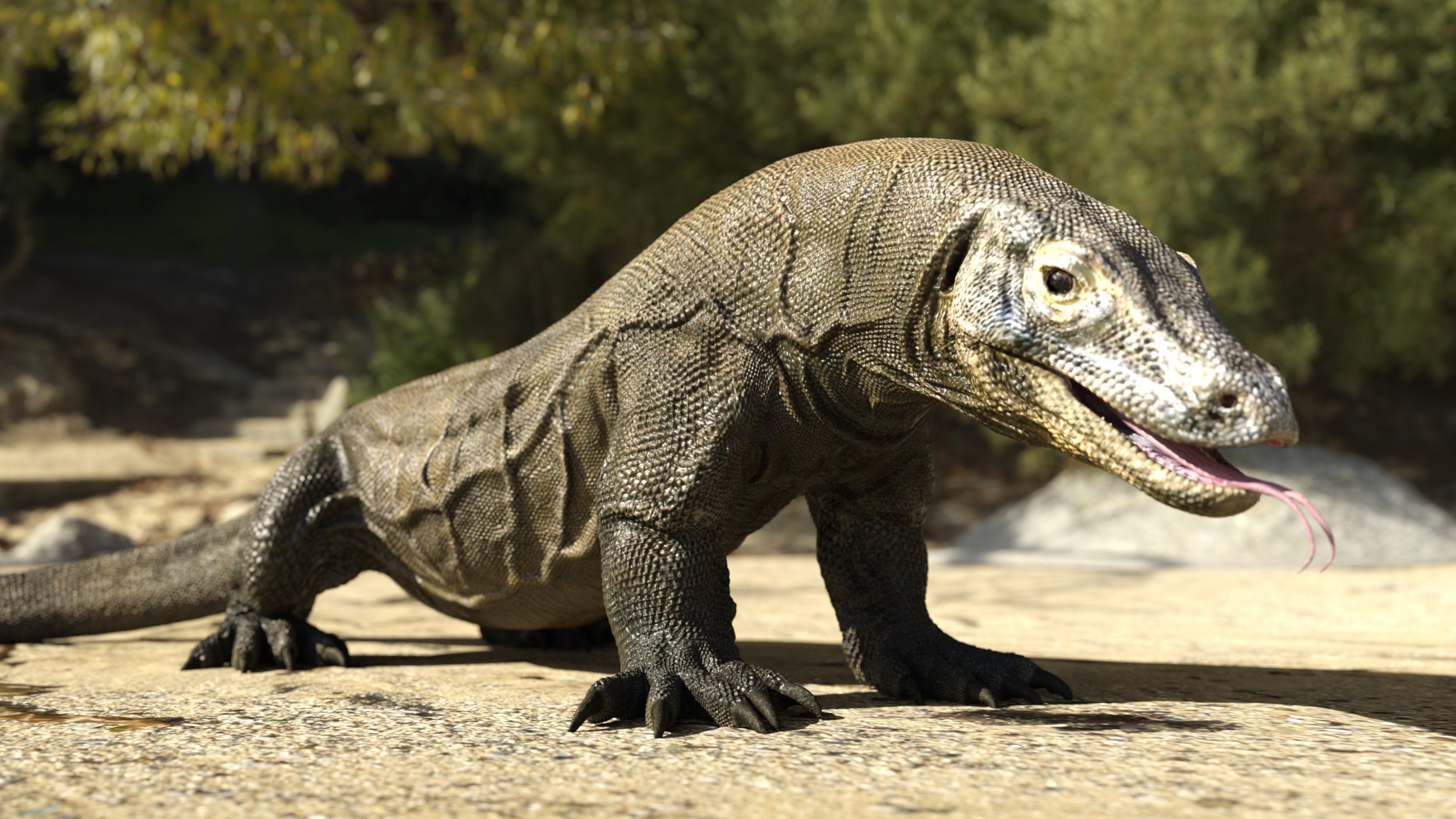 Komodo Dragon by AM by: Alessandro_AM, 3D Models by Daz 3D