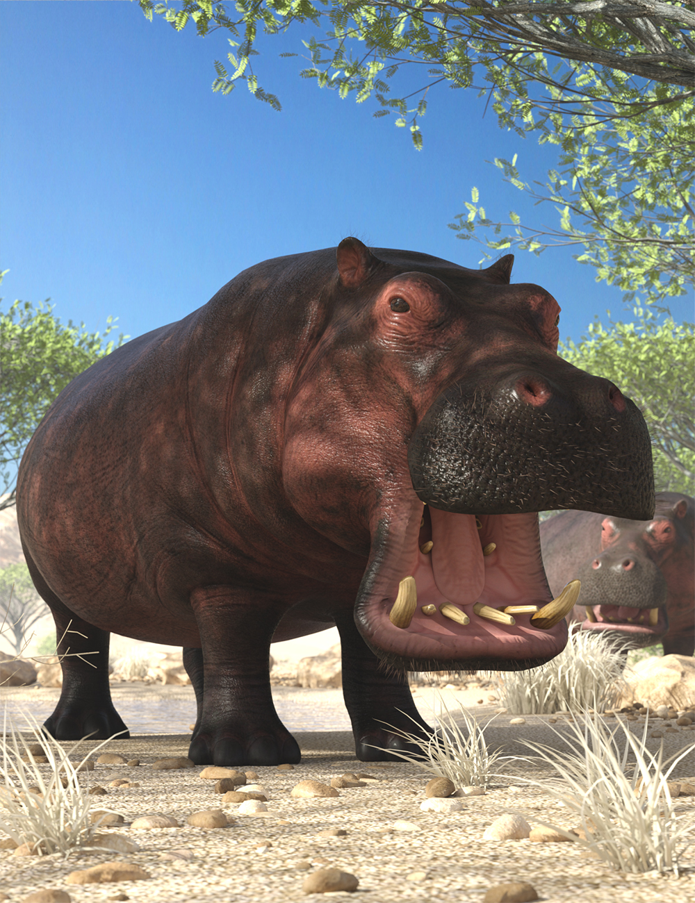 LoREZ Hippo by: Predatron, 3D Models by Daz 3D