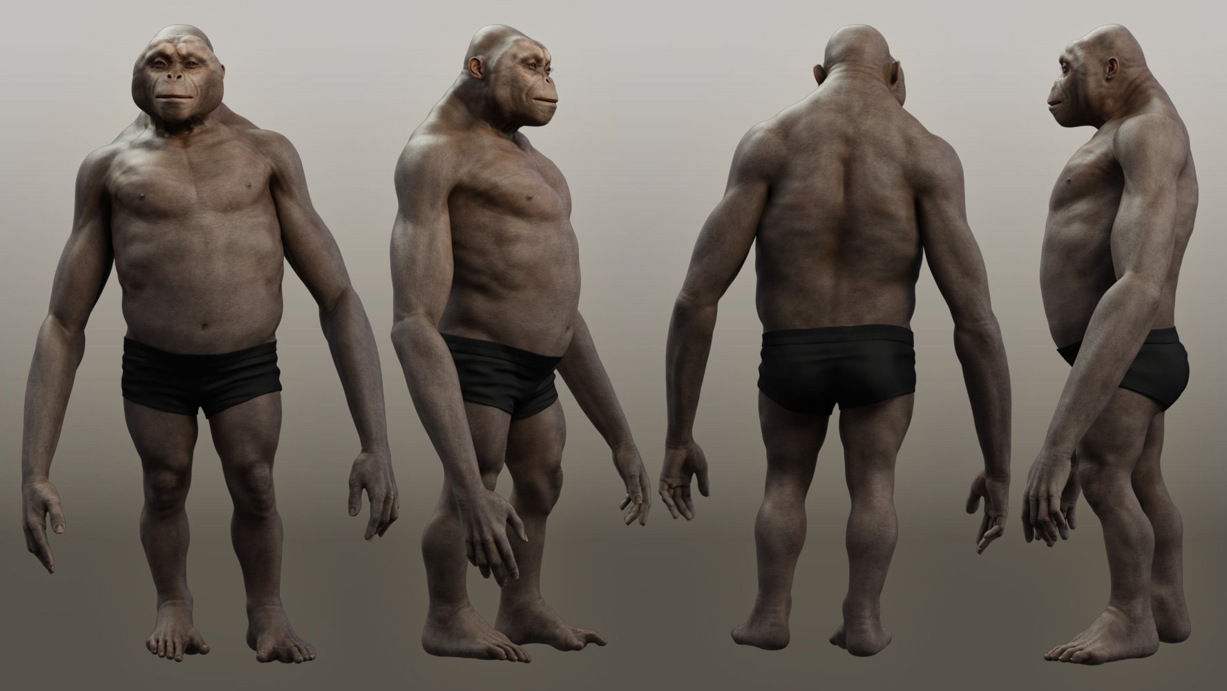 Ape World Orangutan for Genesis 9 | Daz 3D