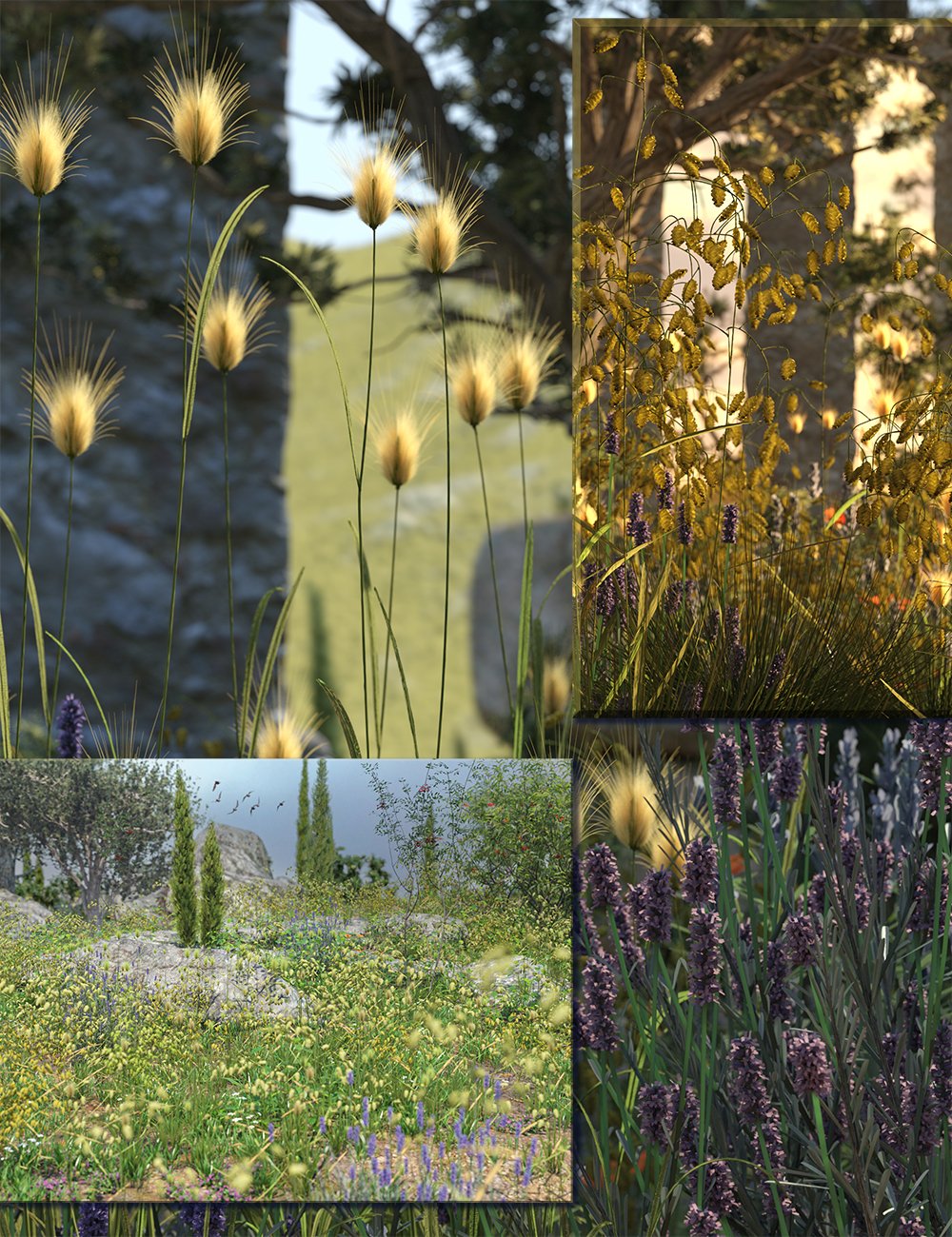 Mediterranean Grasses by: MartinJFrost, 3D Models by Daz 3D