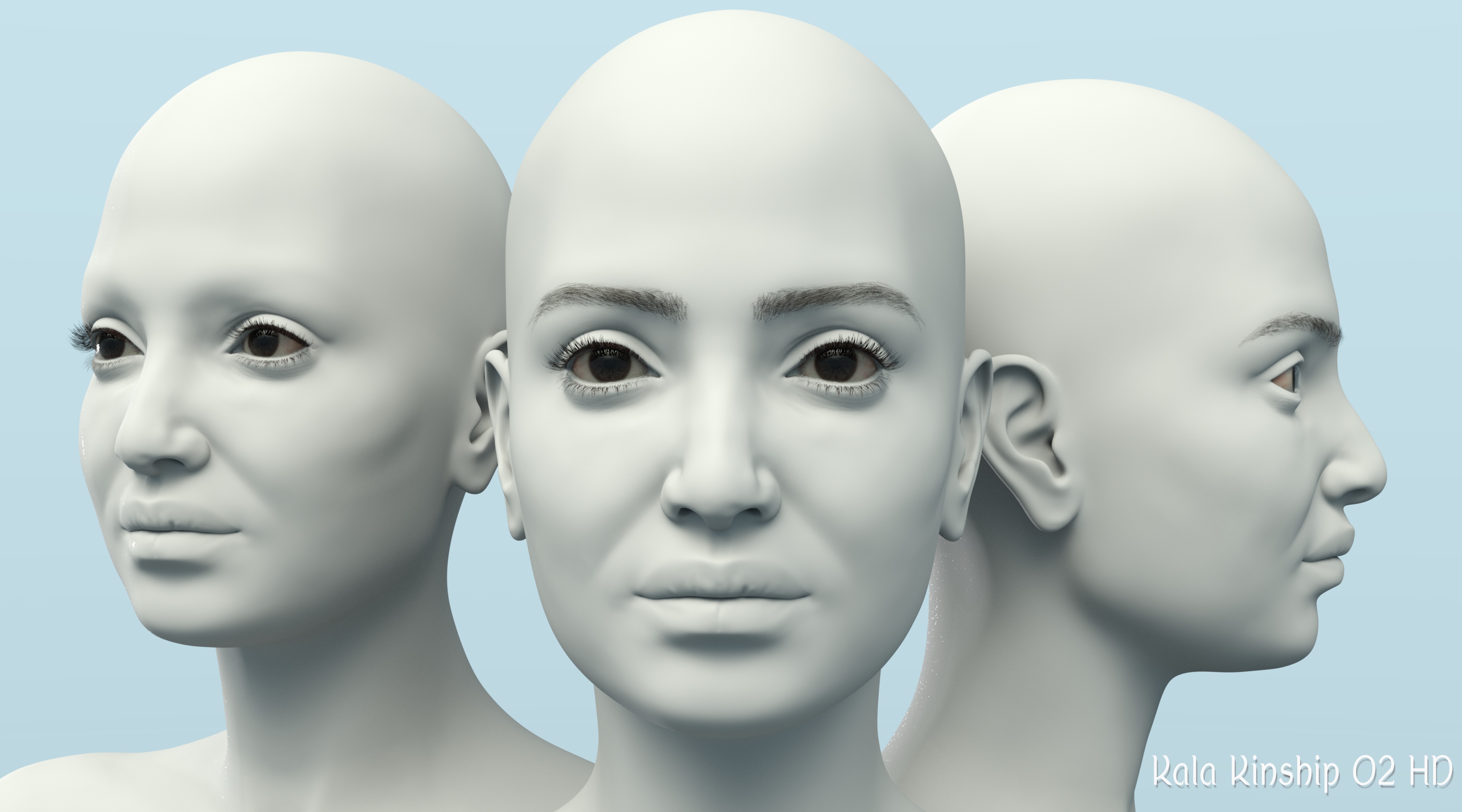 Kala 9 Kinship Alternate Face Morphs | Daz 3D