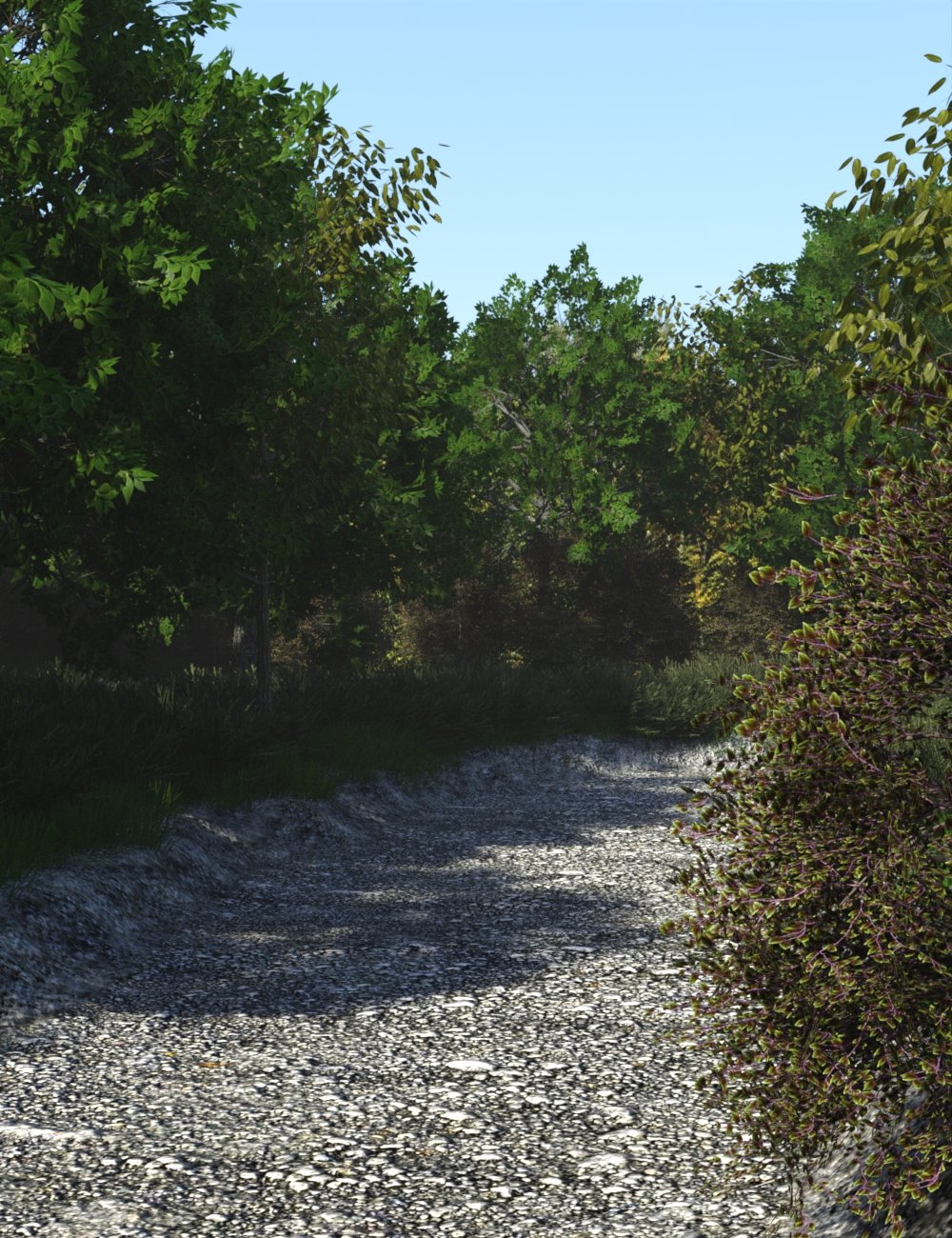 Path Through the Woods by: JeffersonAF, 3D Models by Daz 3D