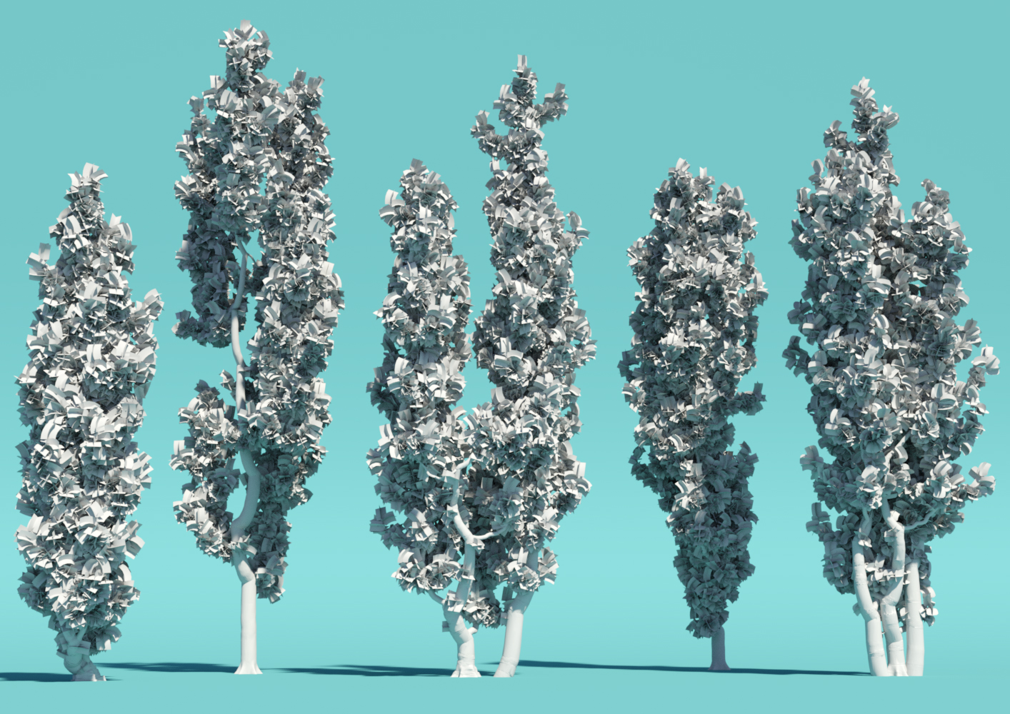 Mediterranean Juniper High Resolution Plants and Trees | Daz 3D