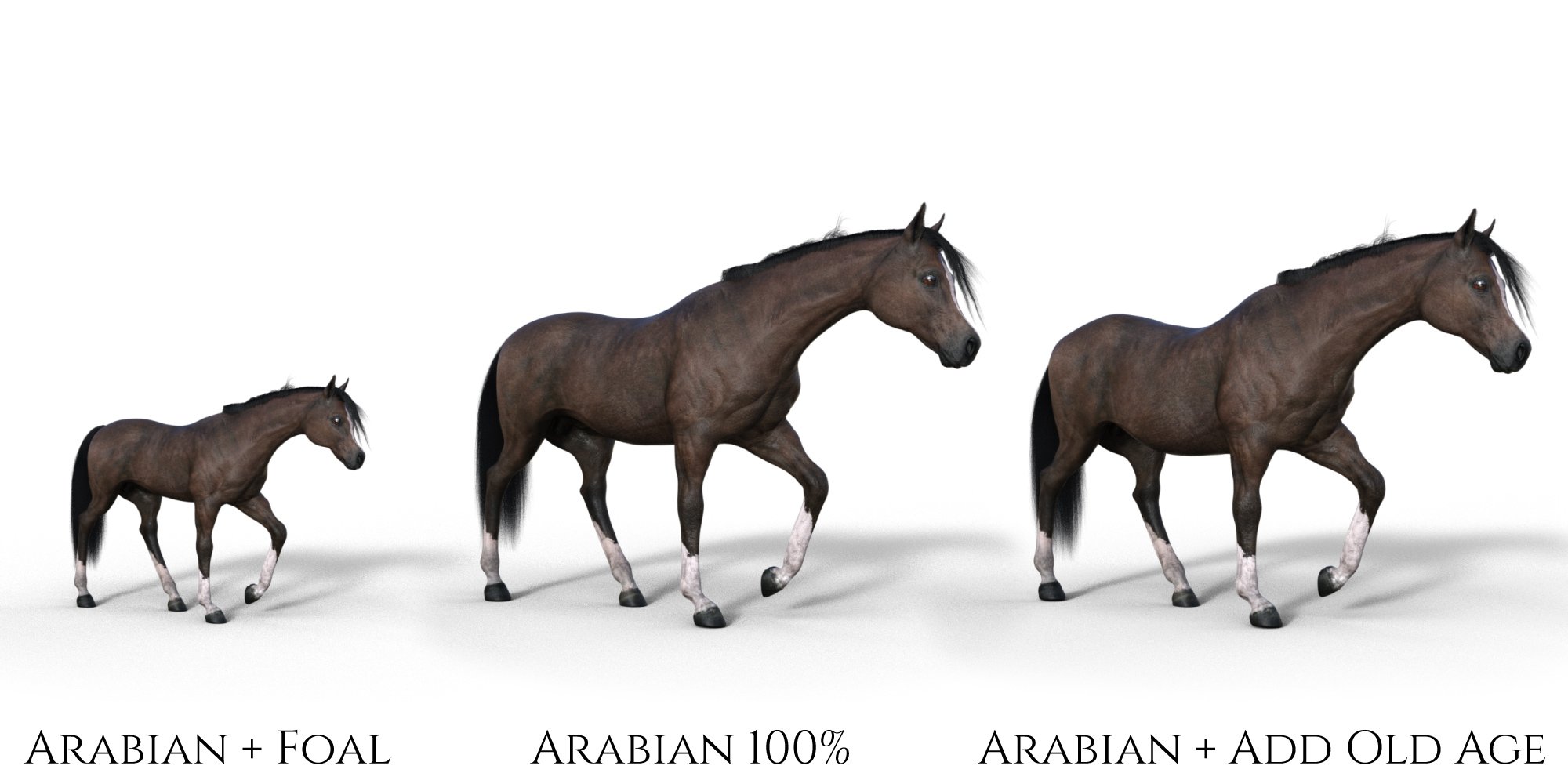 DA Ultimate Shape pack for Horse 3 - Breeds | Daz 3D