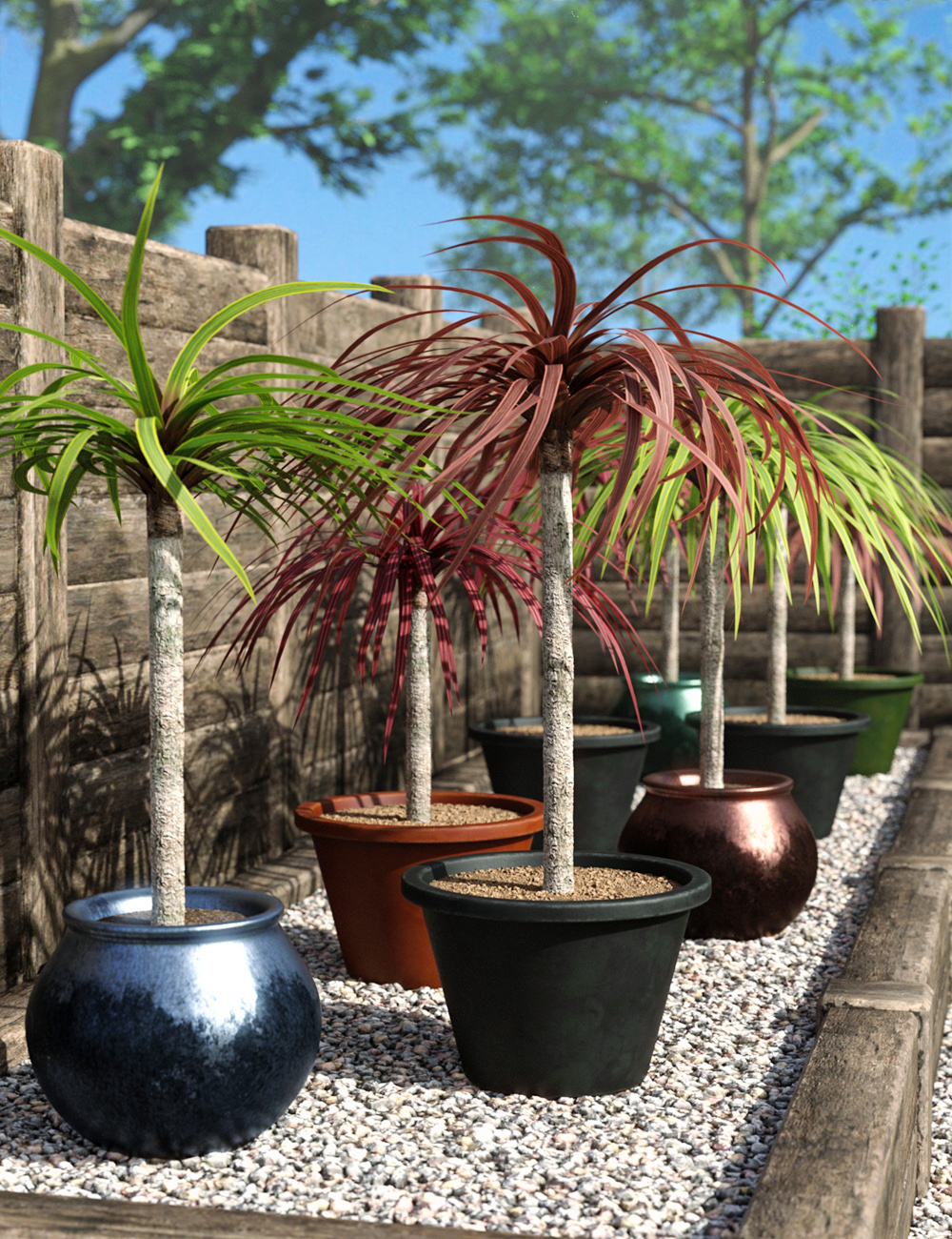 Predatron Cordyline Plant by: Predatron, 3D Models by Daz 3D