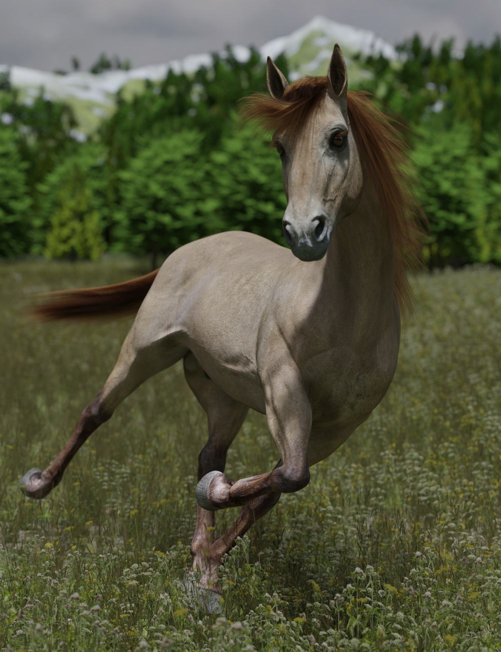 DS Horse for Daz Horse 3 by: Deepsea, 3D Models by Daz 3D