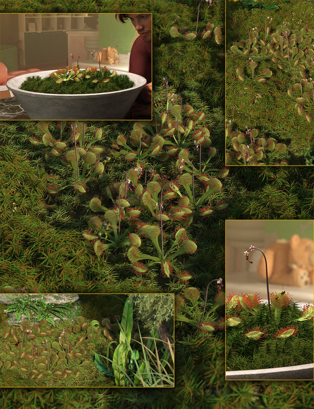 Tiny Carnivorous Plants - Sundews by: MartinJFrost, 3D Models by Daz 3D