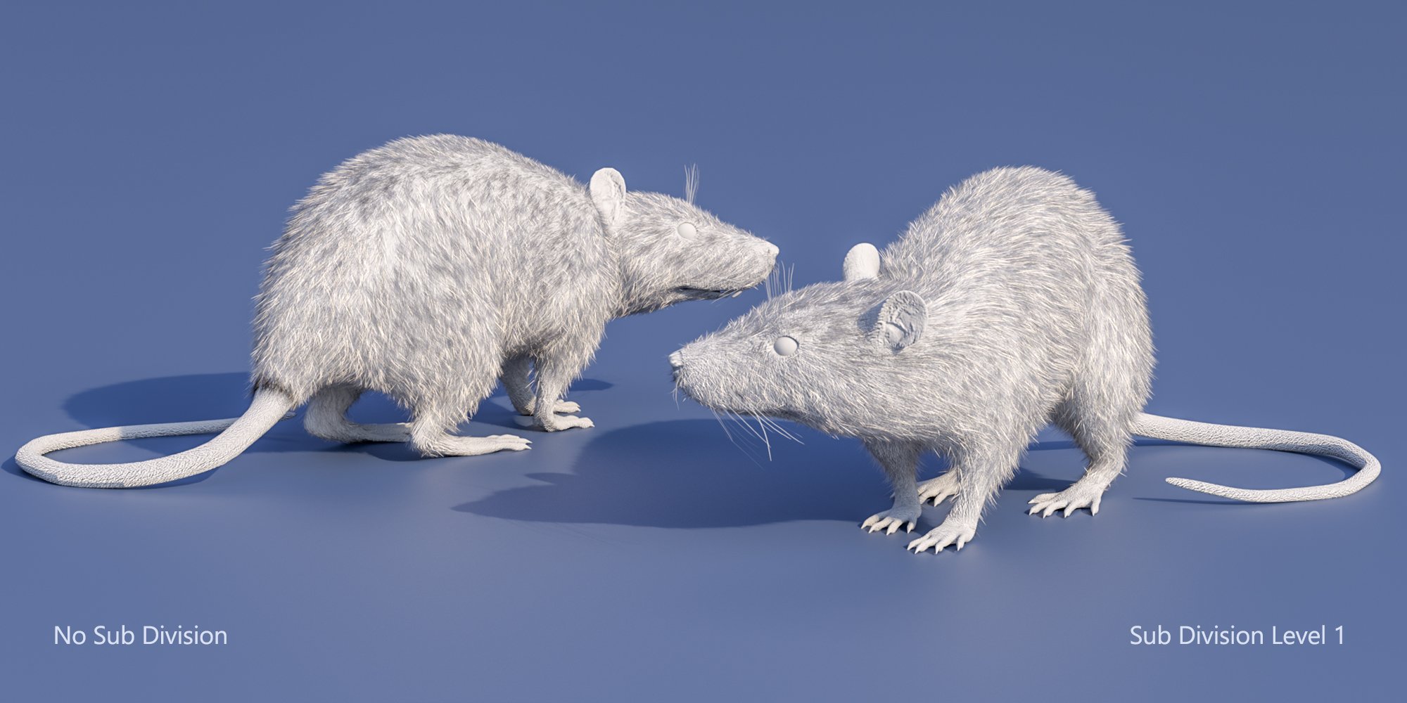 LoREZ Rat 2 | Daz 3D