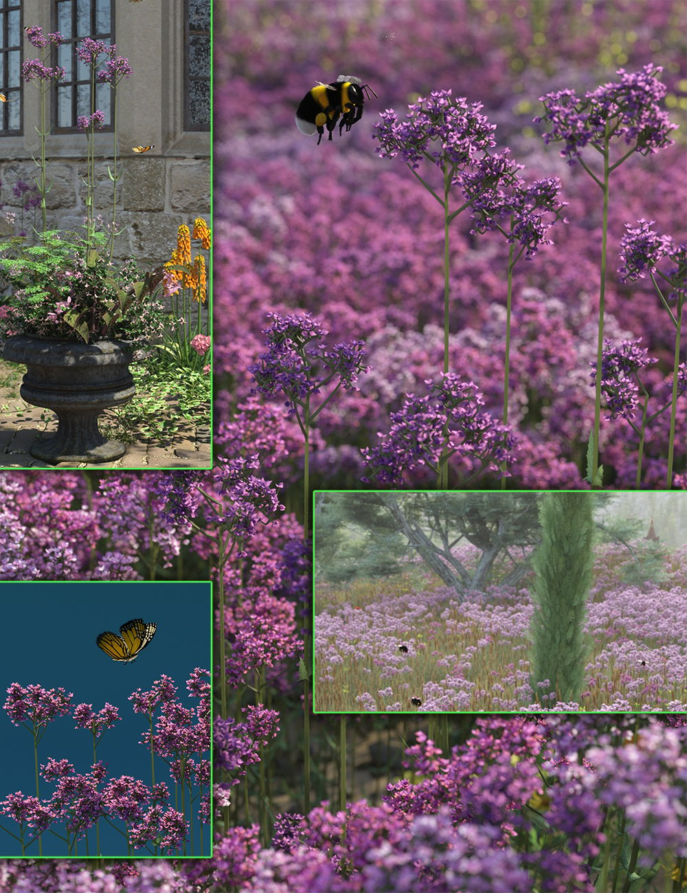 Verbena Bonariensis - Garden and Grassland Flowers by: MartinJFrost, 3D Models by Daz 3D