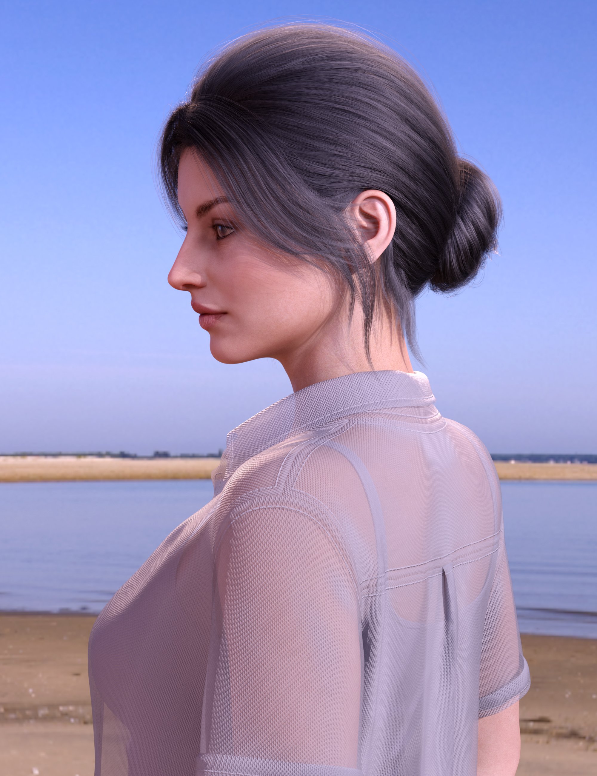 BS Updo Hair for Genesis 9, 8.1, and 8 Female by: BirthStone, 3D Models by Daz 3D