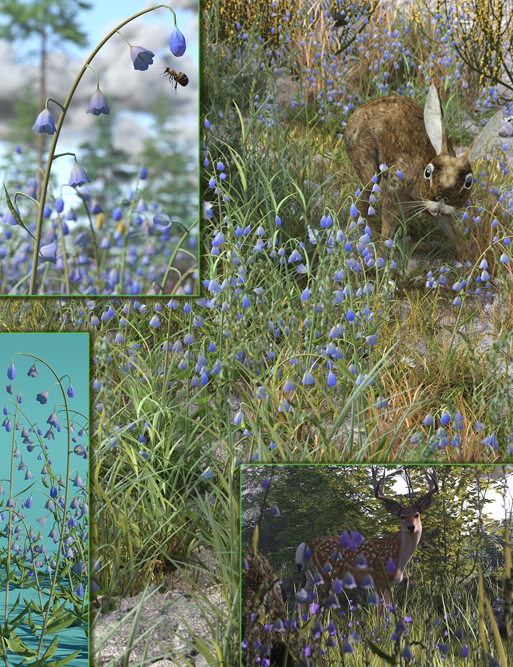Heathland Wildflowers - Harebells by: MartinJFrost, 3D Models by Daz 3D