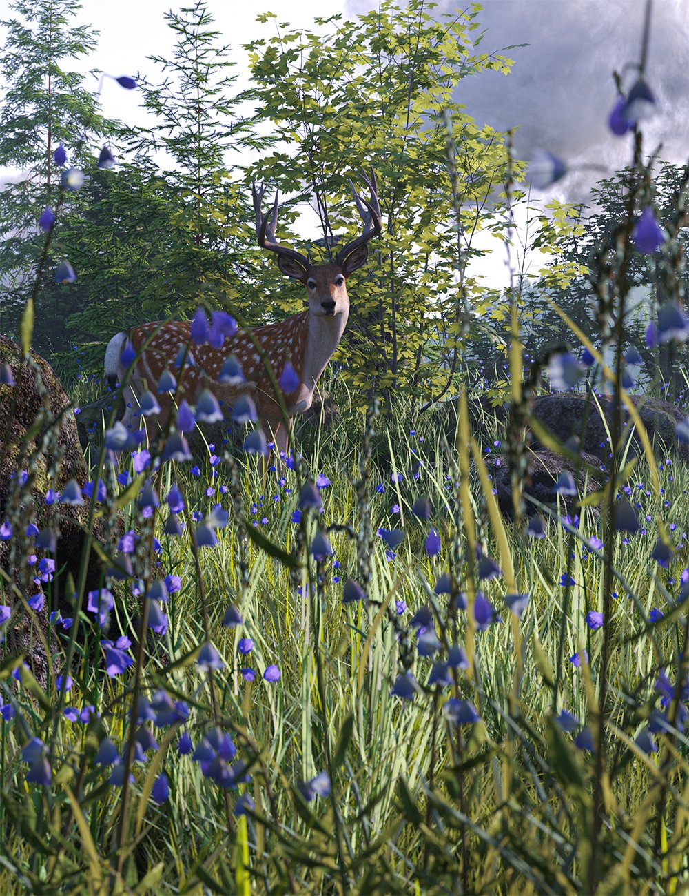 Heathland Wildflowers – Harebells